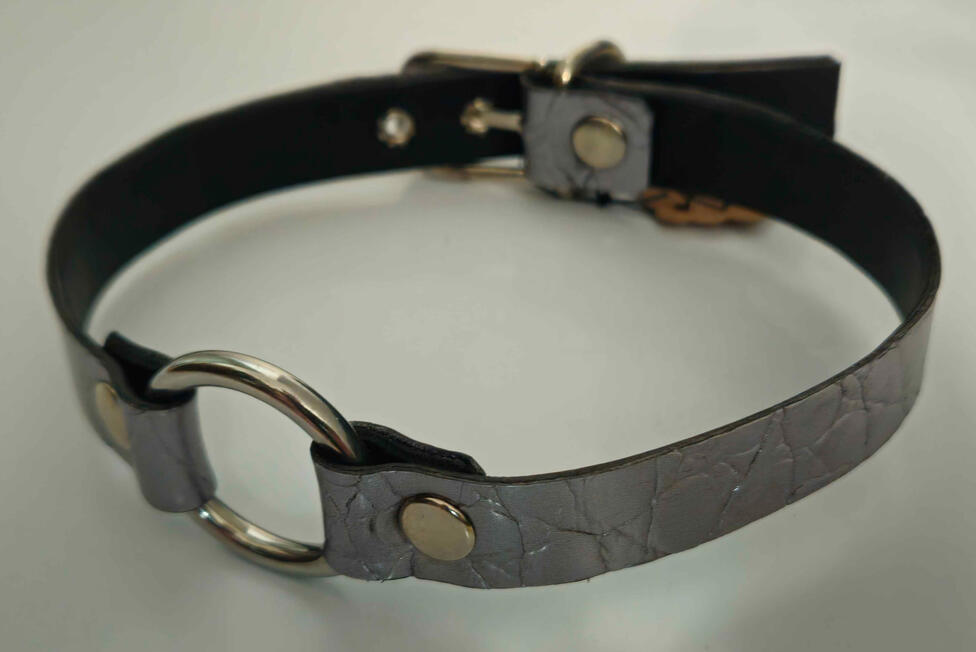 Collar of Dragon(s)laying Collar max Ø: 42,5cm Collar min. Ø: 36cm 800NOK/≈71€